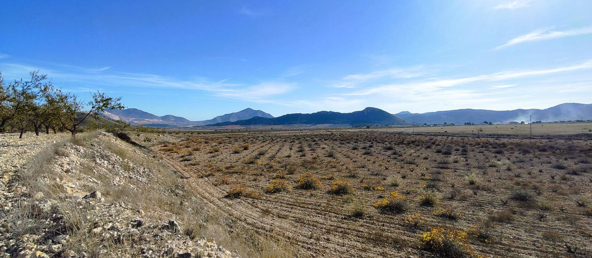 Revente - Land - Canada del Trigo