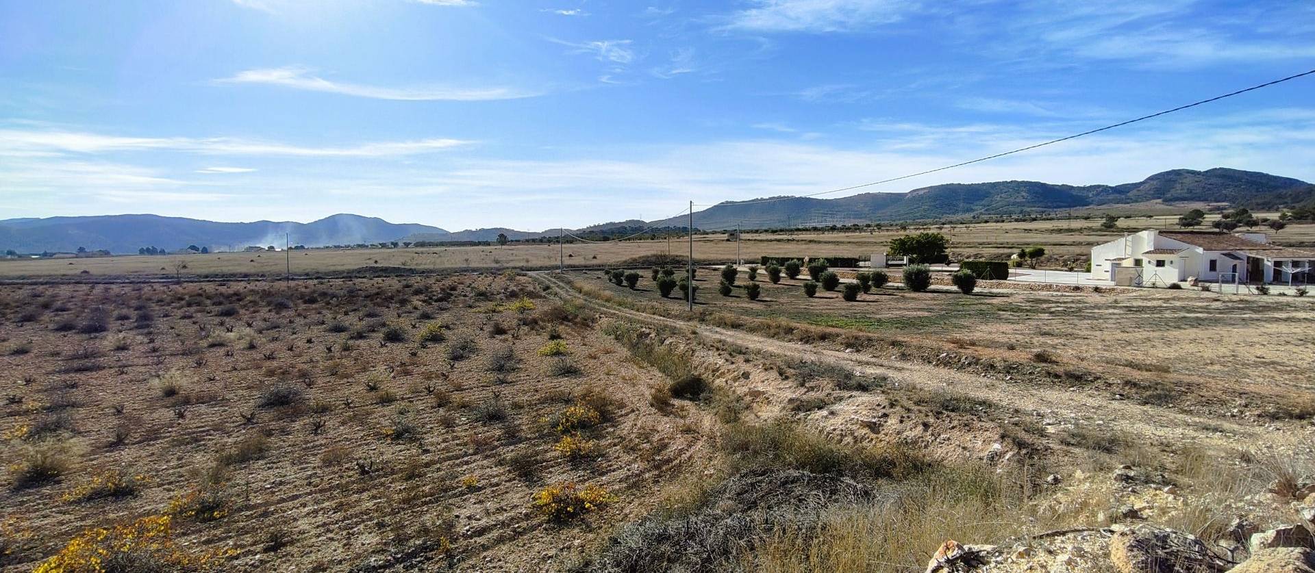 Revente - Land - Canada del Trigo