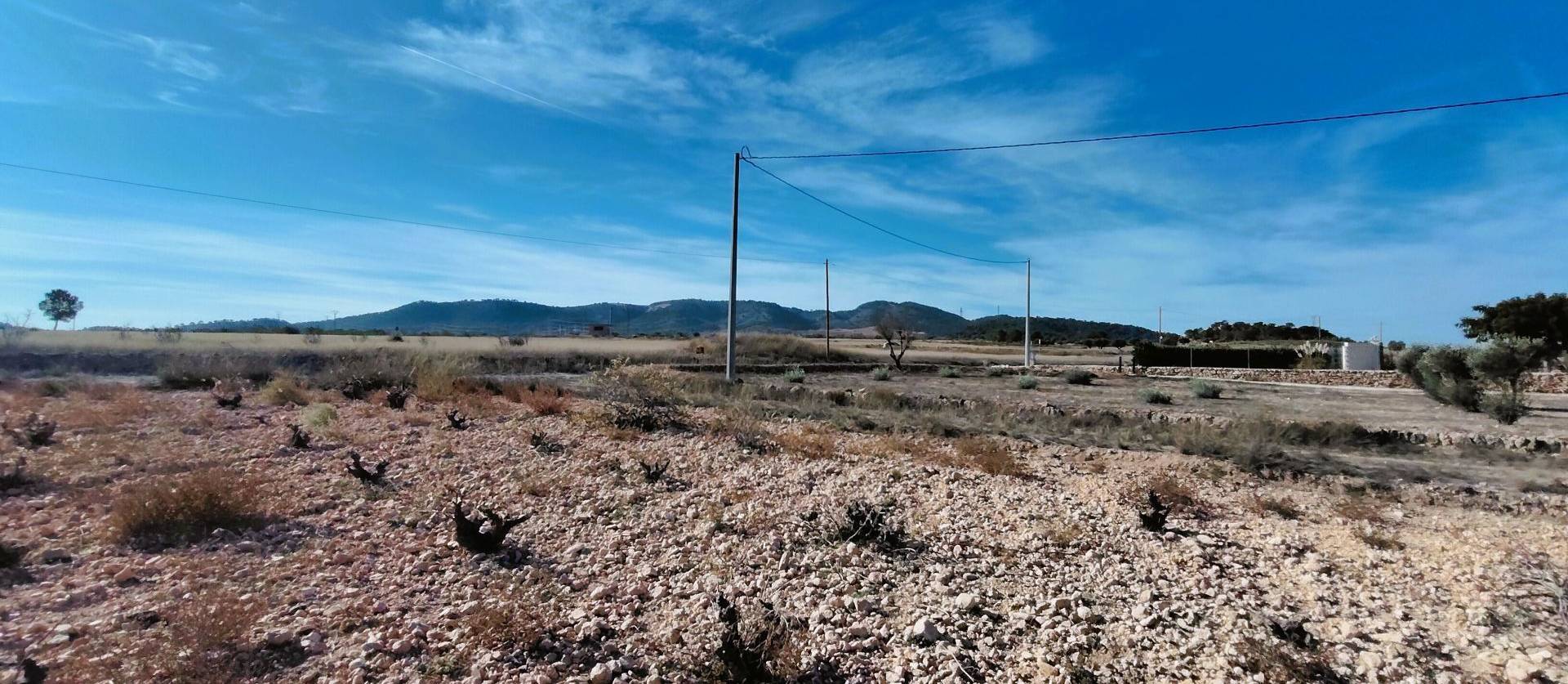 Revente - Land - Canada del Trigo