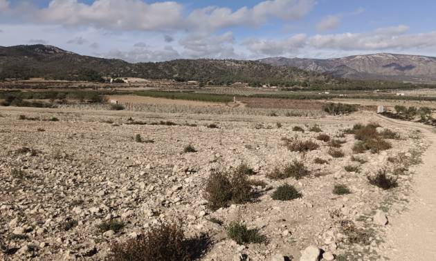 Revente - Land - Salinas