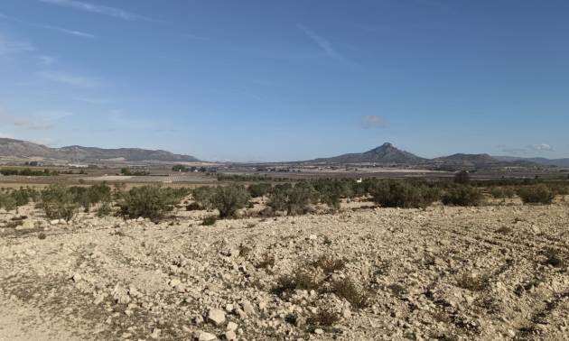 Revente - Land - Salinas