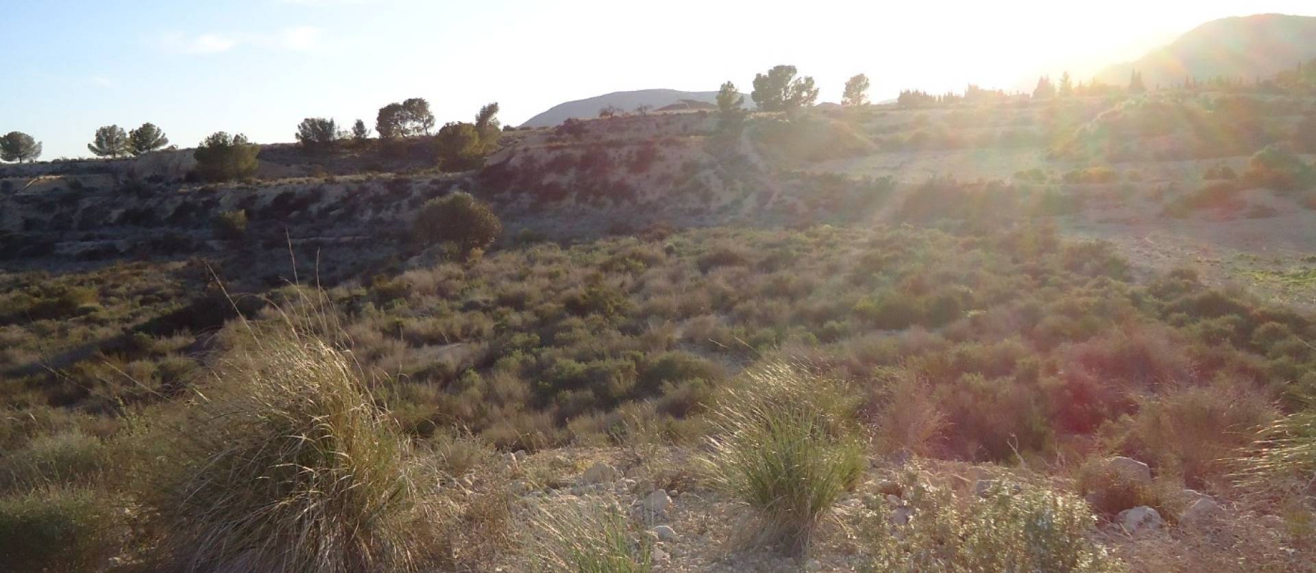 Bestaande woningen - Land - Abanilla