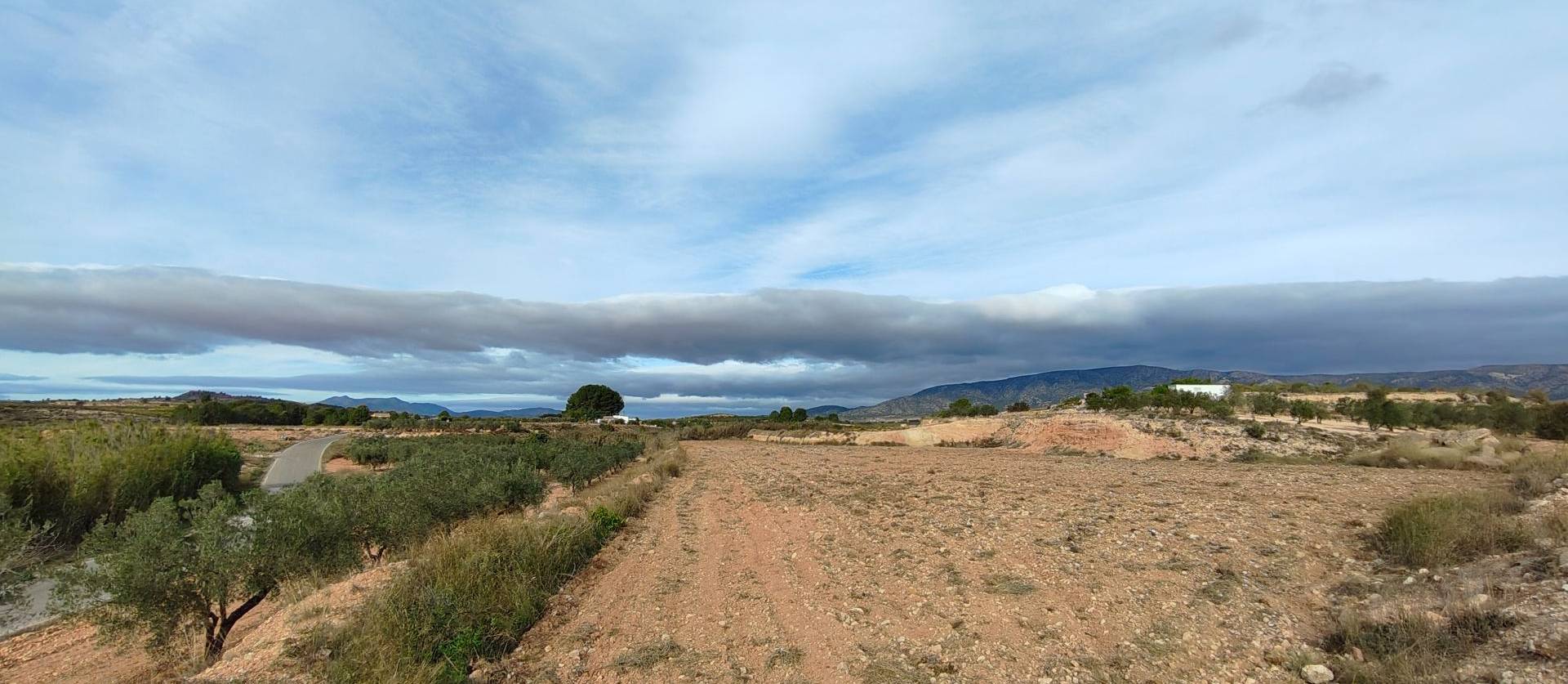 Revente - Land - Monovar