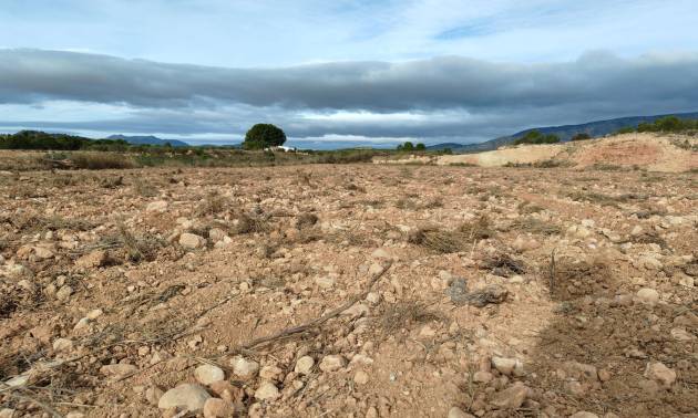 Revente - Land - Monovar