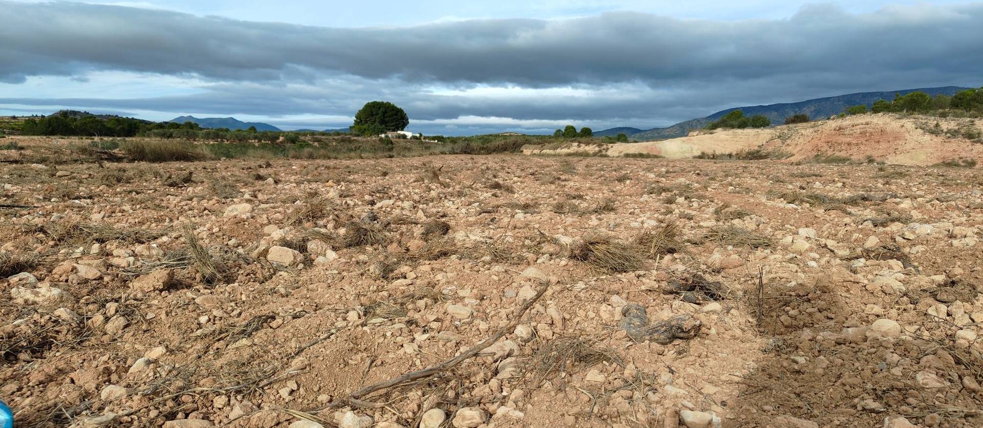 Revente - Land - Monovar