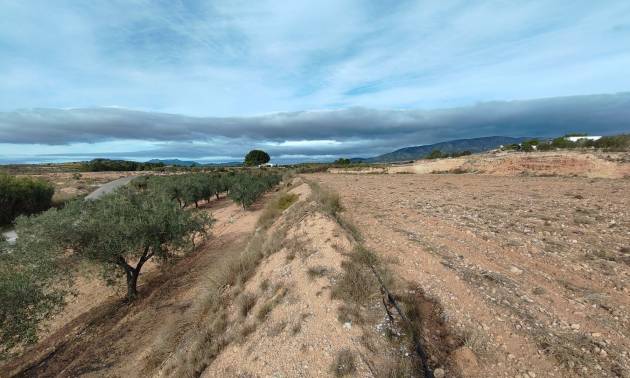 Revente - Land - Monovar