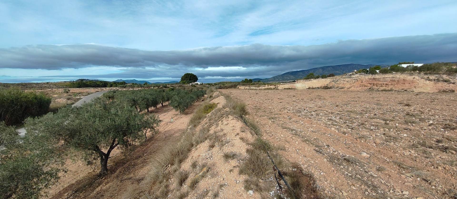 Revente - Land - Monovar