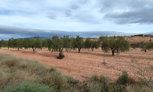 Revente - Land - Monovar