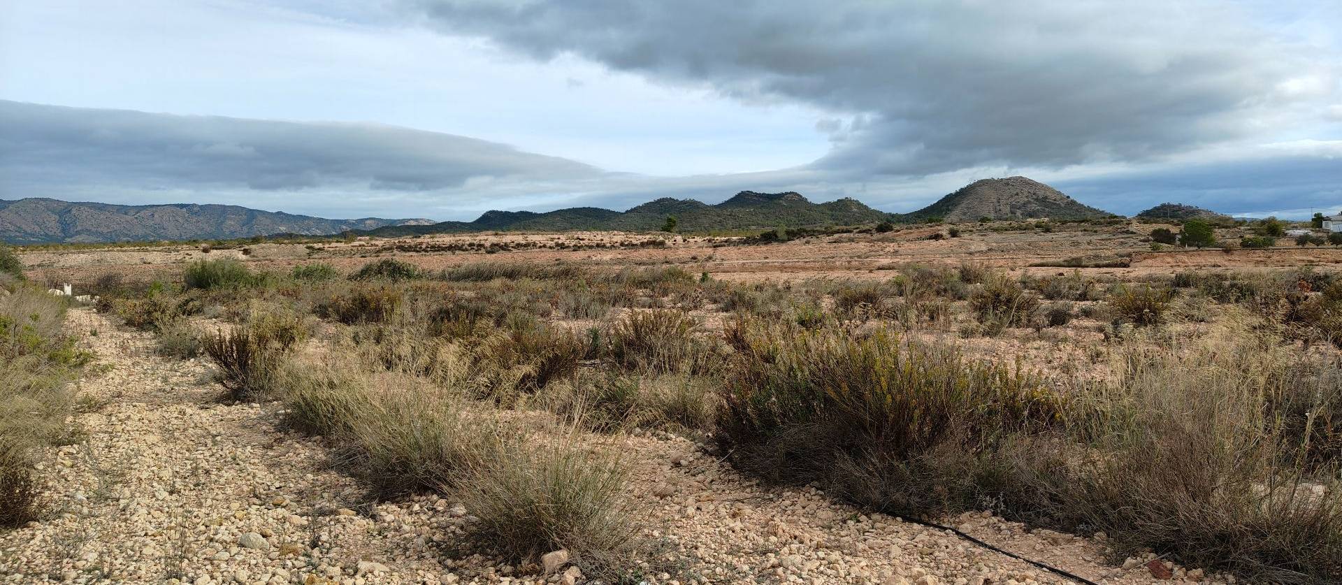 Revente - Land - Monovar