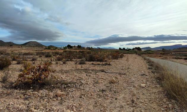 Revente - Land - Monovar