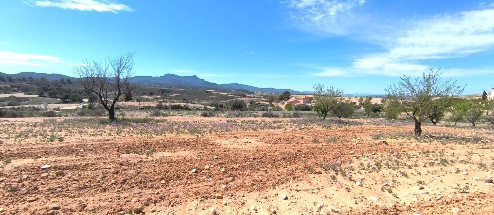 Sale - Land - Canada del Trigo