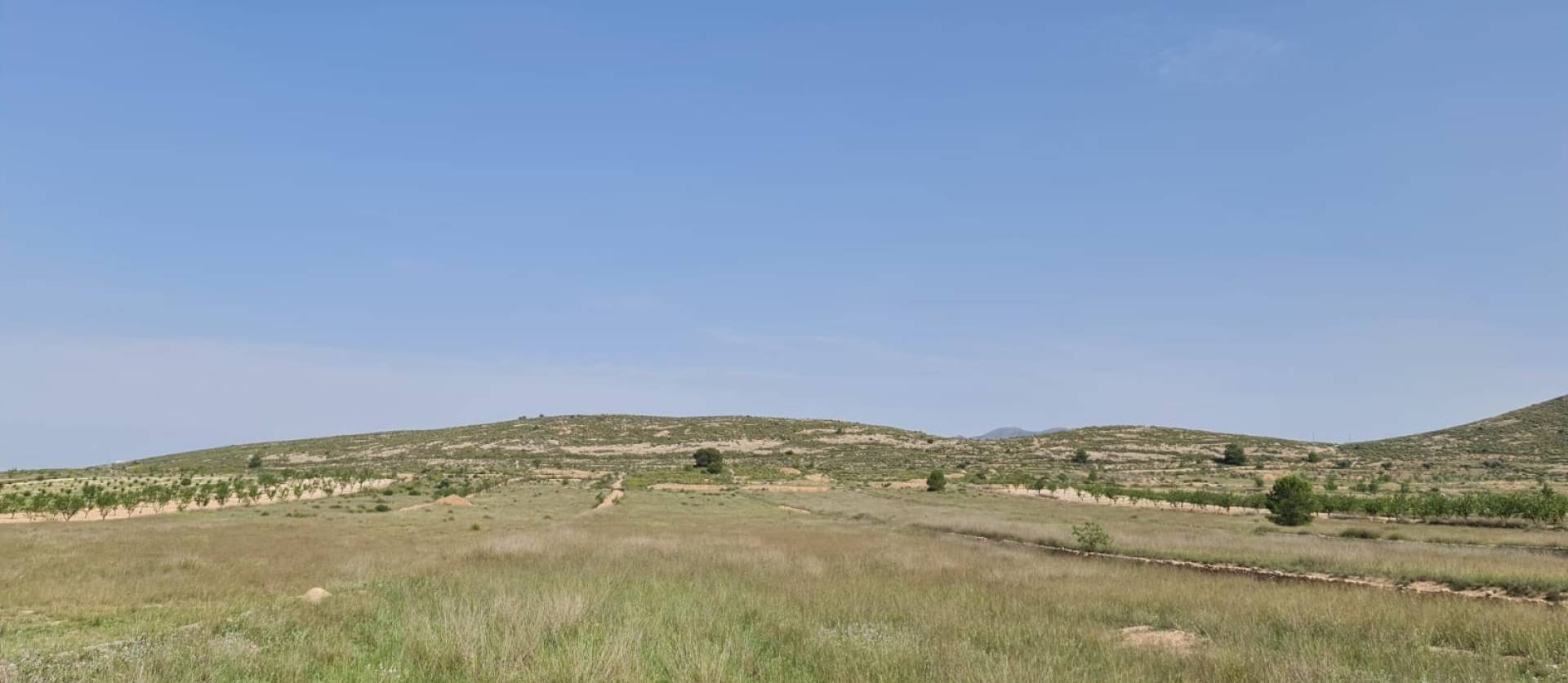Bestaande woningen - Land - Jumilla