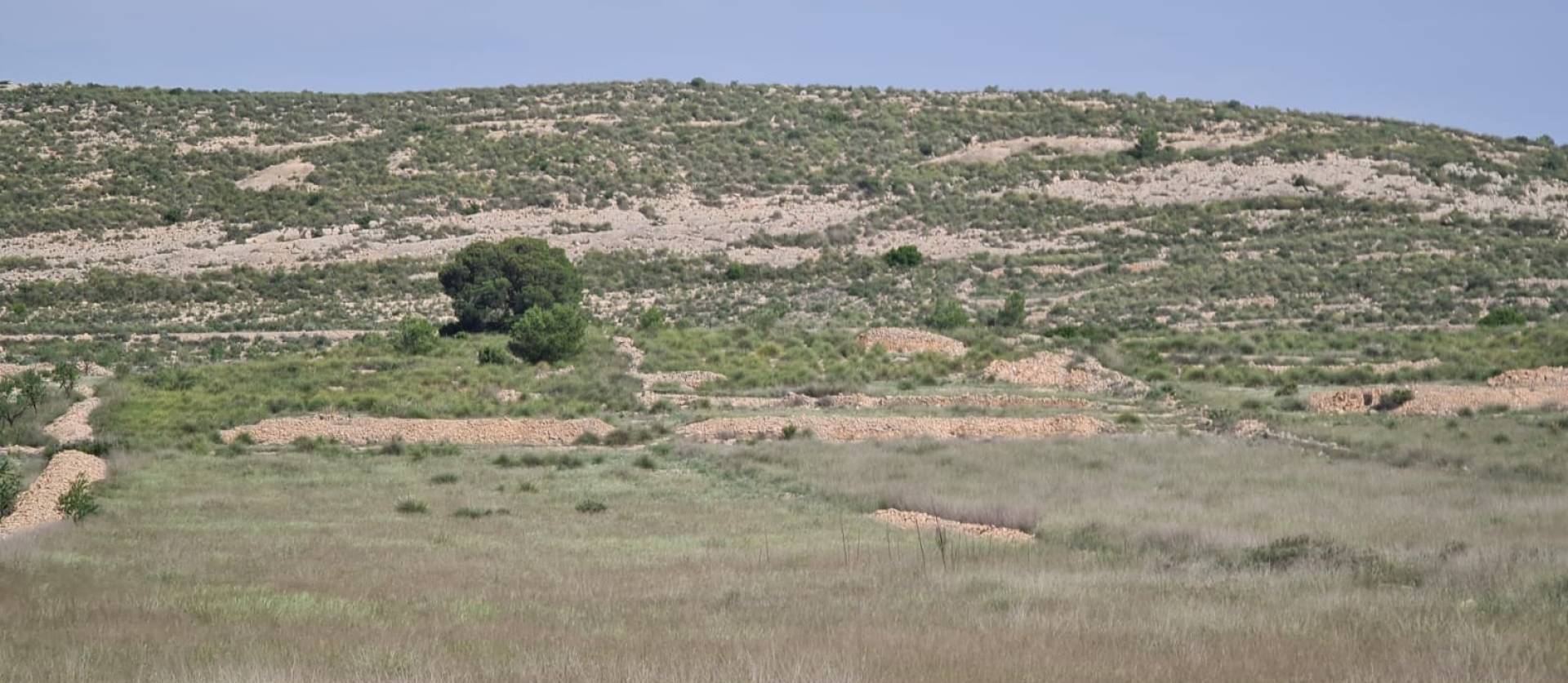 Bestaande woningen - Land - Jumilla