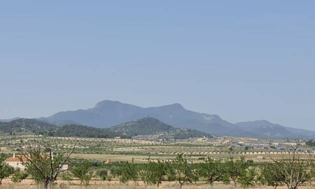 Bestaande woningen - Land - Jumilla