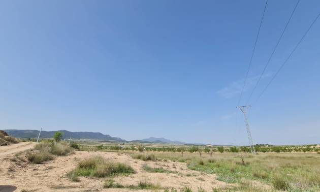 Bestaande woningen - Land - Jumilla