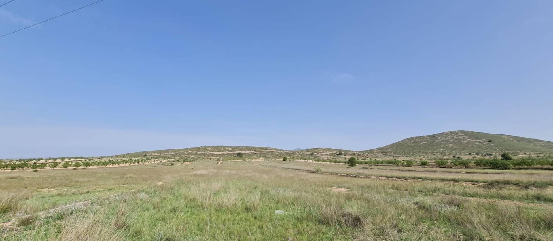 Bestaande woningen - Land - Jumilla