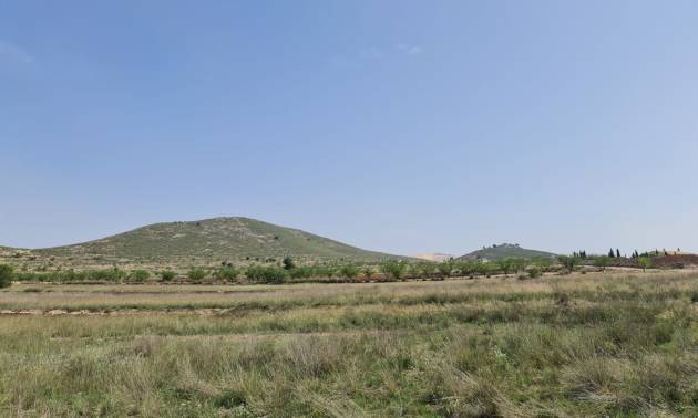 Bestaande woningen - Land - Jumilla