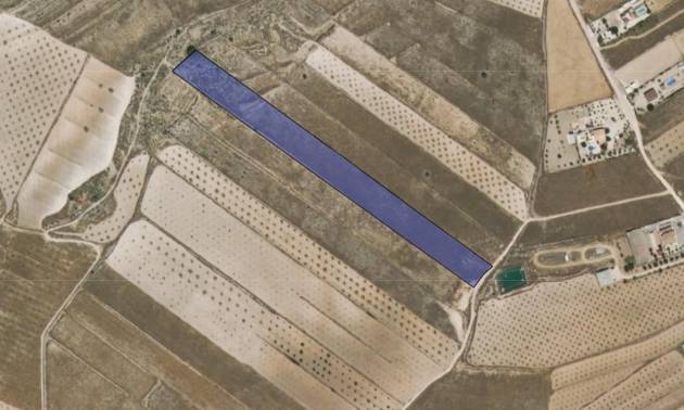 Bestaande woningen - Land - Jumilla