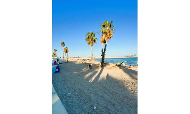 Bestaande woningen - Appartment - Torrevieja