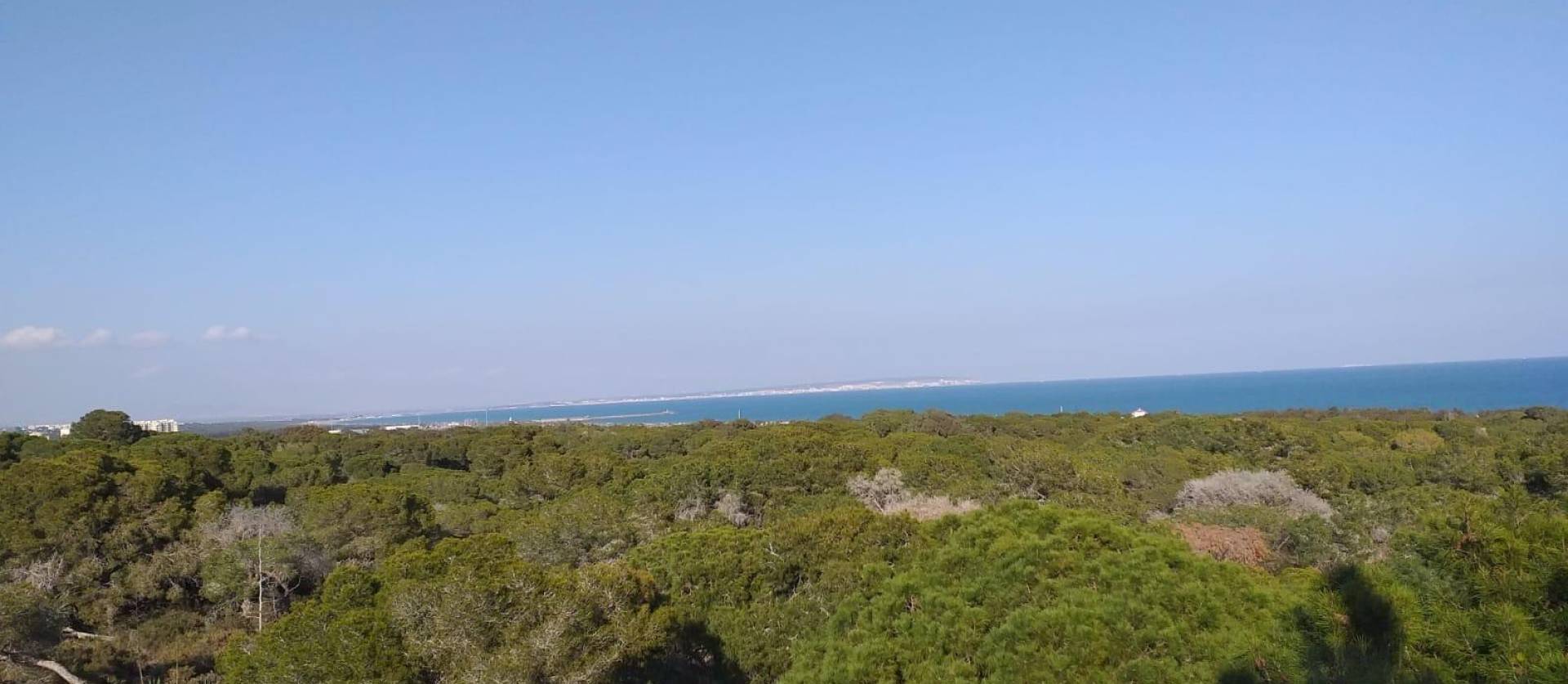 New Build - Apartment - Guardamar del Segura - Pueblo