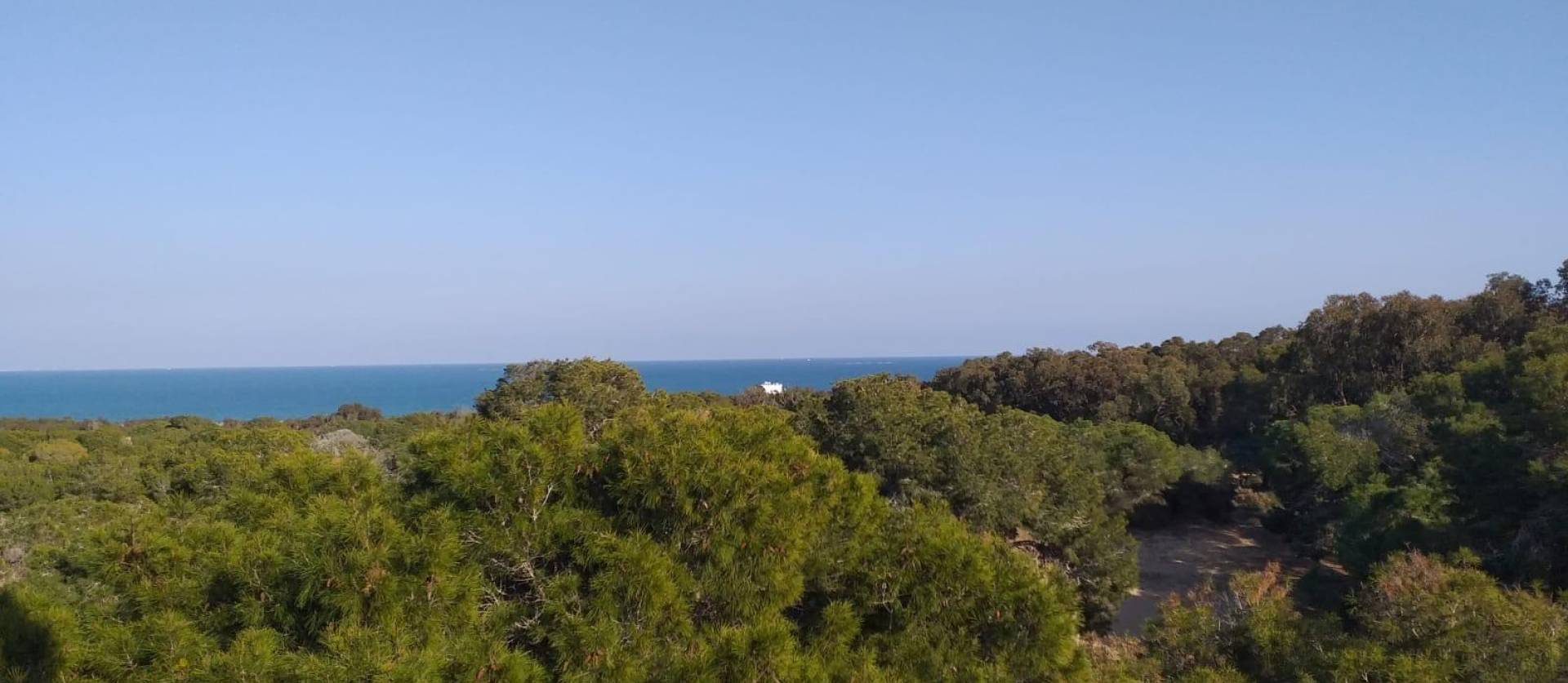 New Build - Apartment - Guardamar del Segura - Pueblo