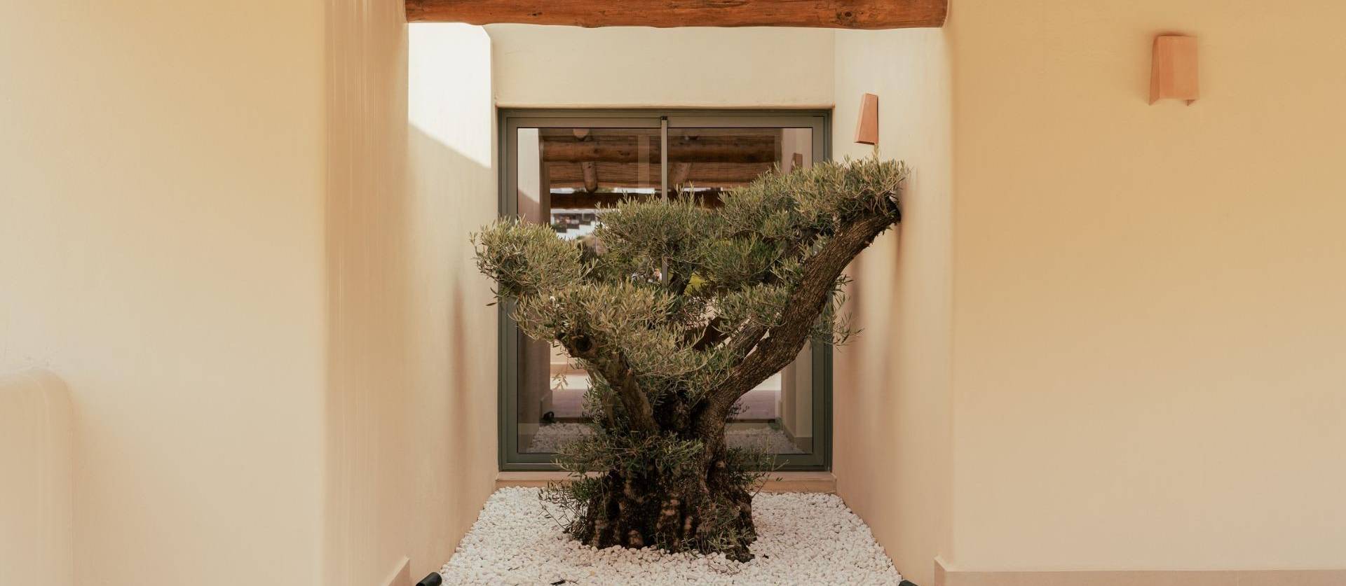 New Build - Villa - Jávea Xàbia - Valle del Sol