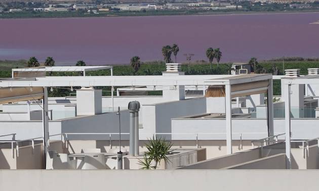 Sale - Apartment - Torrevieja - Los Balcones