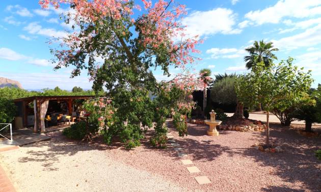 Bestaande woningen - Landelijk huis - Orihuela