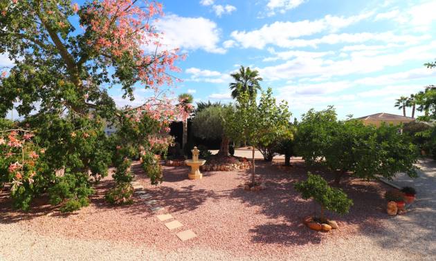 Bestaande woningen - Landelijk huis - Orihuela