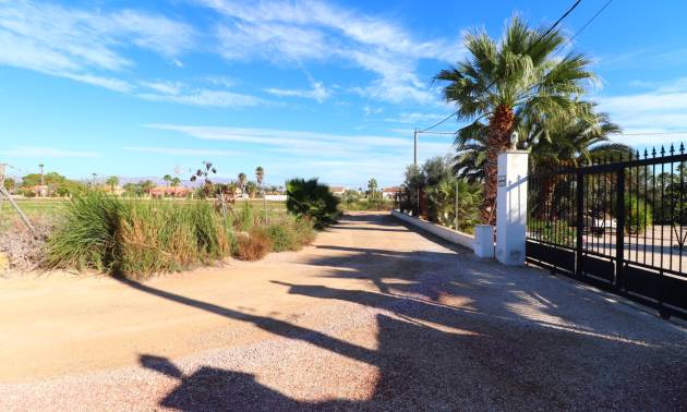 Revente - Country House - Catral