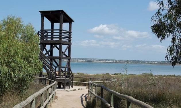 Revente - Apartment - La Mata