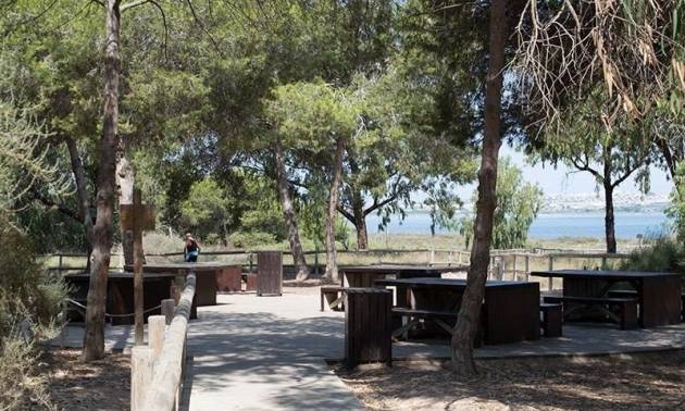 Revente - Apartment - La Mata