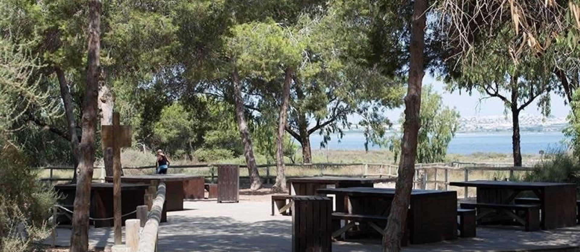 Revente - Apartment - La Mata