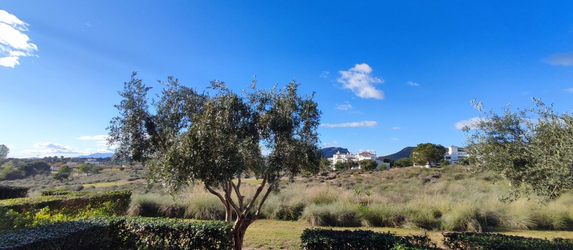 Revente - Apartment - Hacienda Riquelme Golf Resort