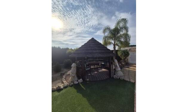 Bestaande woningen - Landelijk huis - Daya Vieja