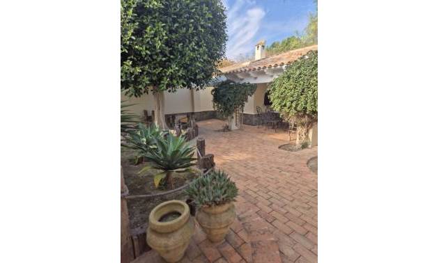 Bestaande woningen - Landelijk huis - Daya Vieja