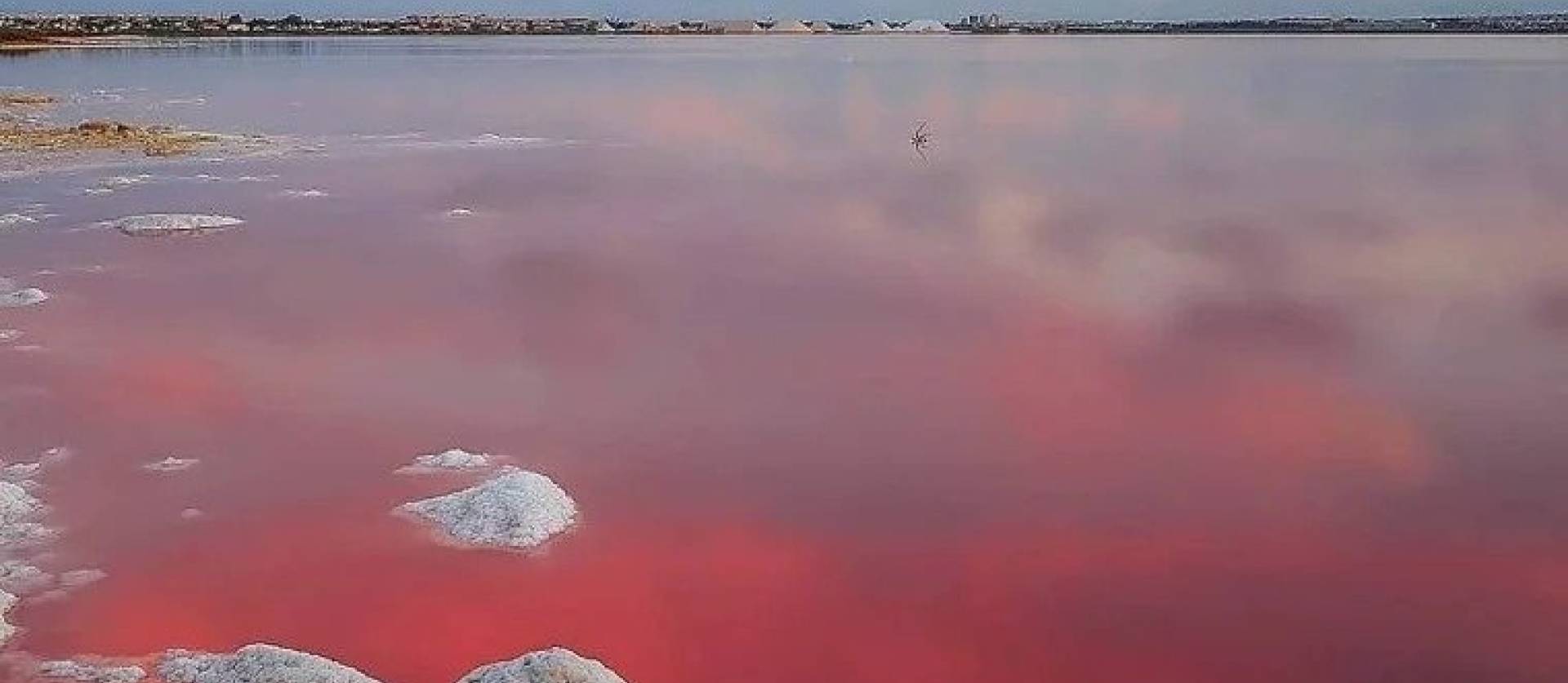 New Build - Ground Floor Bungalow - Torrevieja - Lago Jardín II