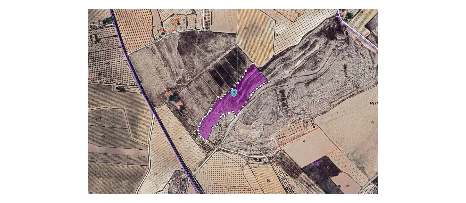 Sale - Land - Pinoso