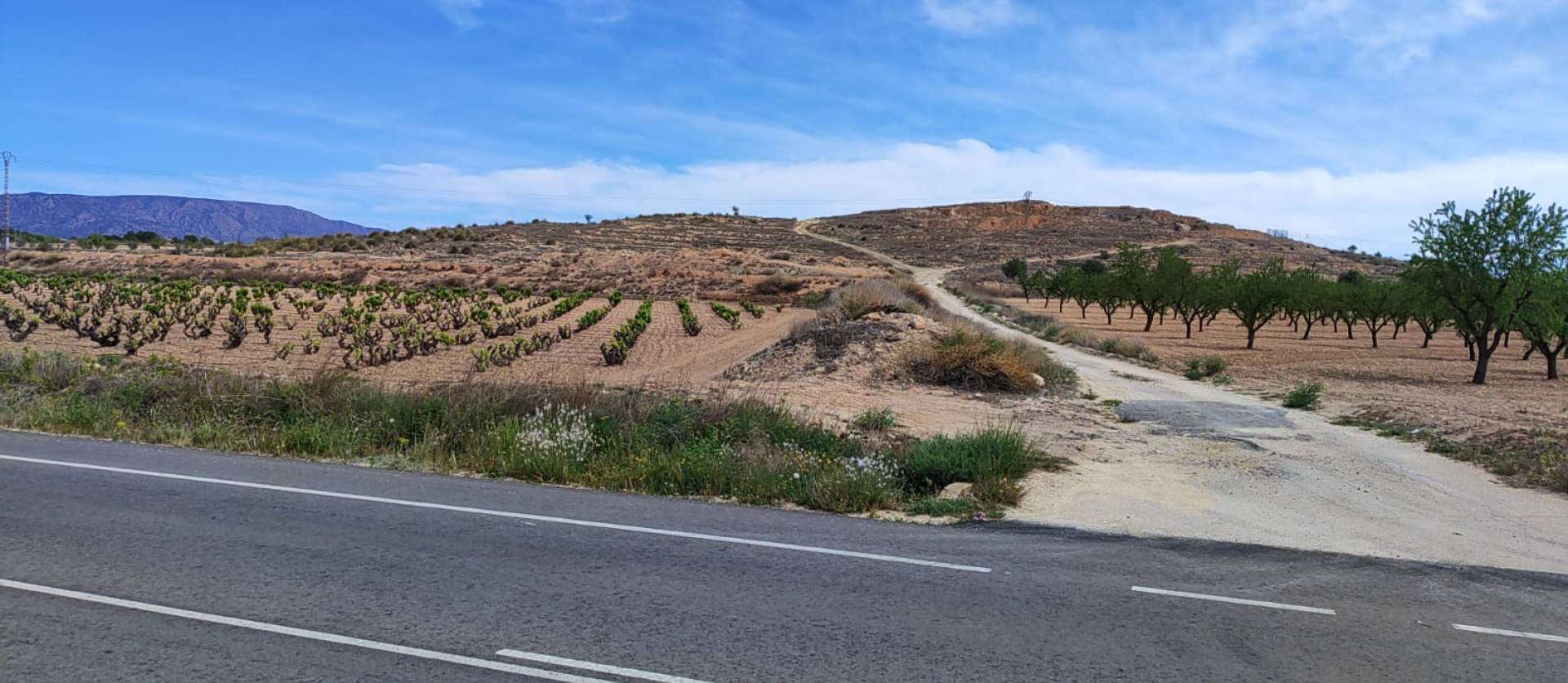 Sale - Land - Pinoso