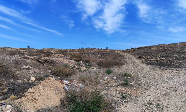 Sale - Land - Pinoso