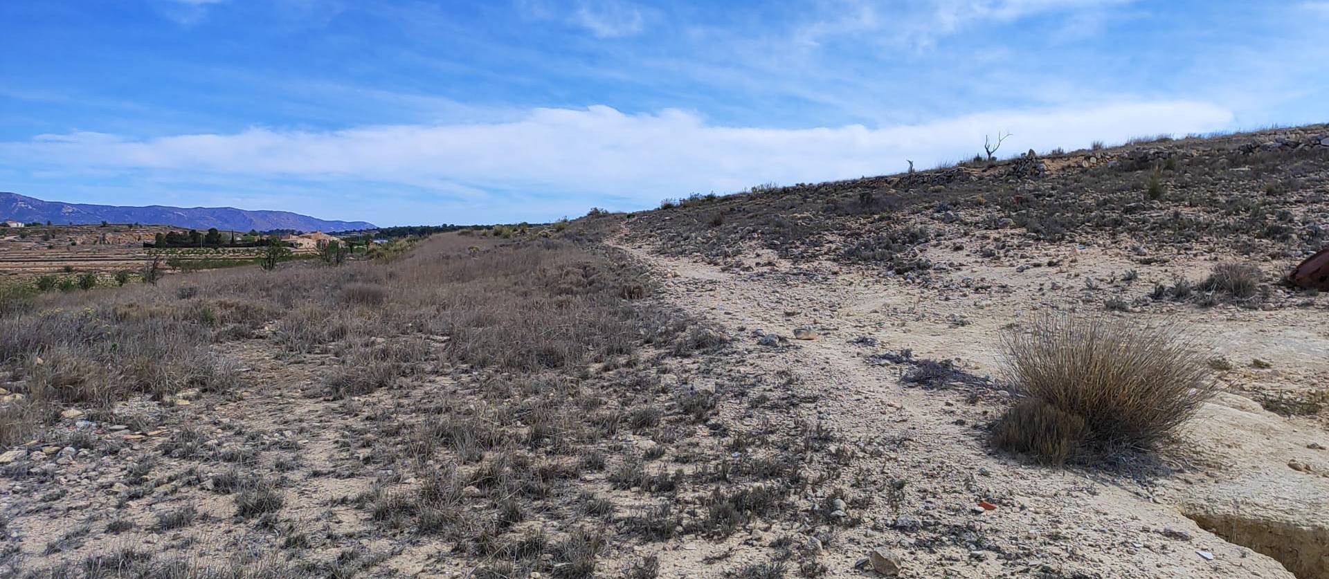 Sale - Land - Pinoso