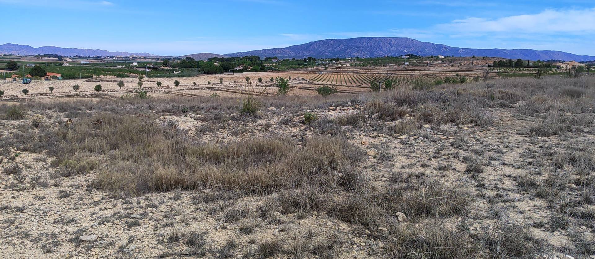 Sale - Land - Pinoso