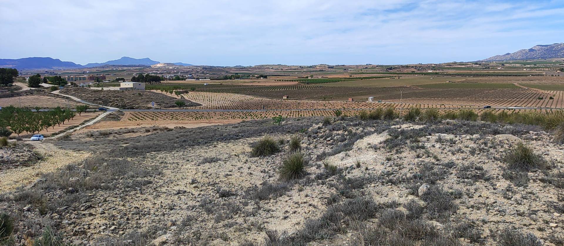 Sale - Land - Pinoso