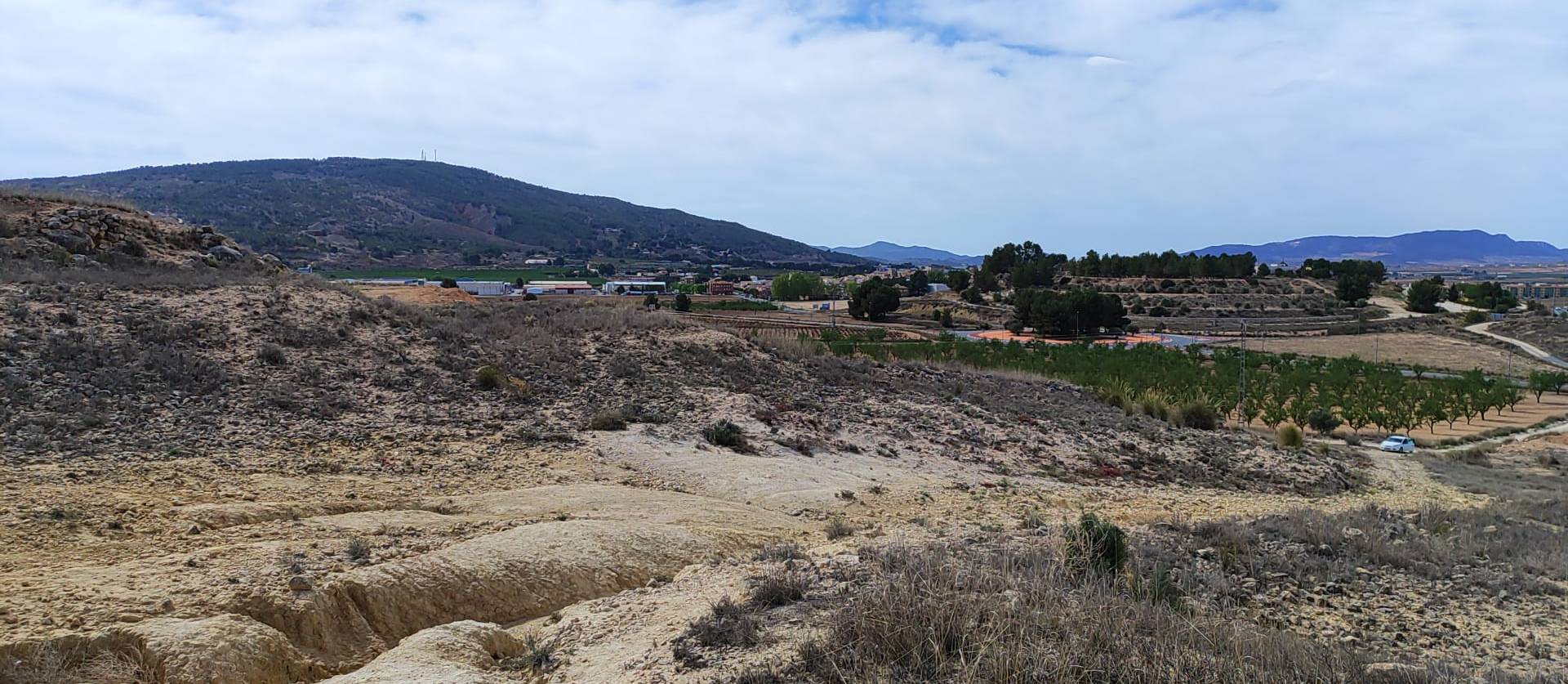 Sale - Land - Pinoso