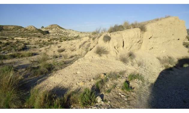 Bestaande woningen - Land - Abanilla