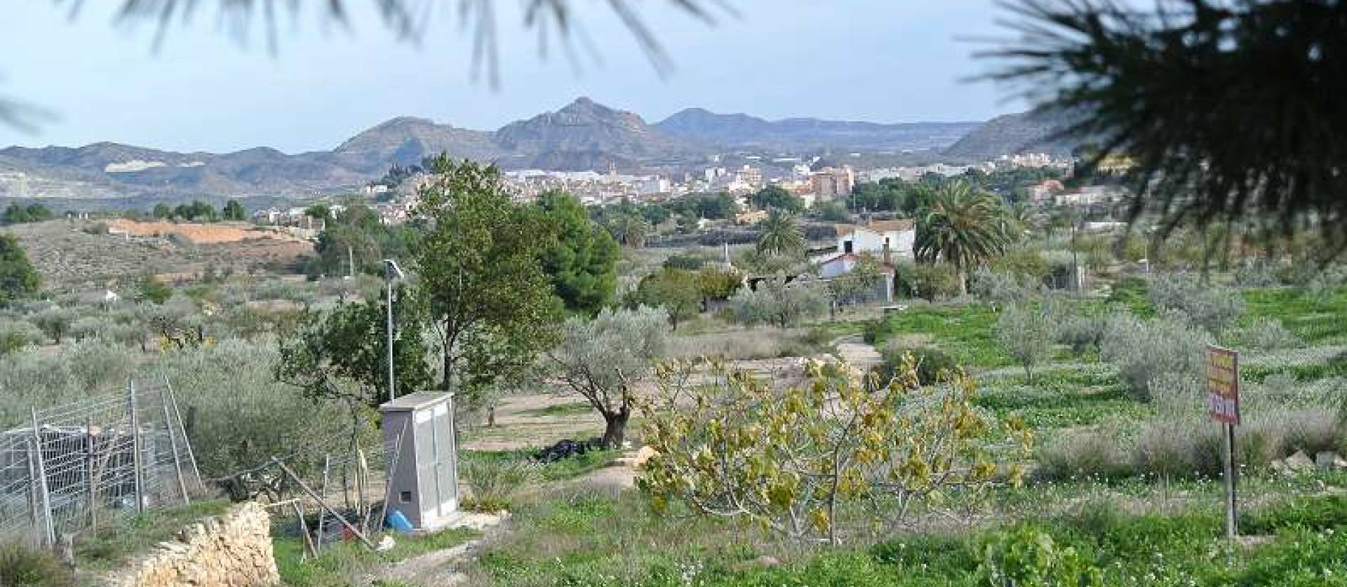 Bestaande woningen - Landelijk huis - Monovar