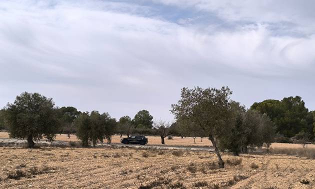 Revente - Villa - Monovar