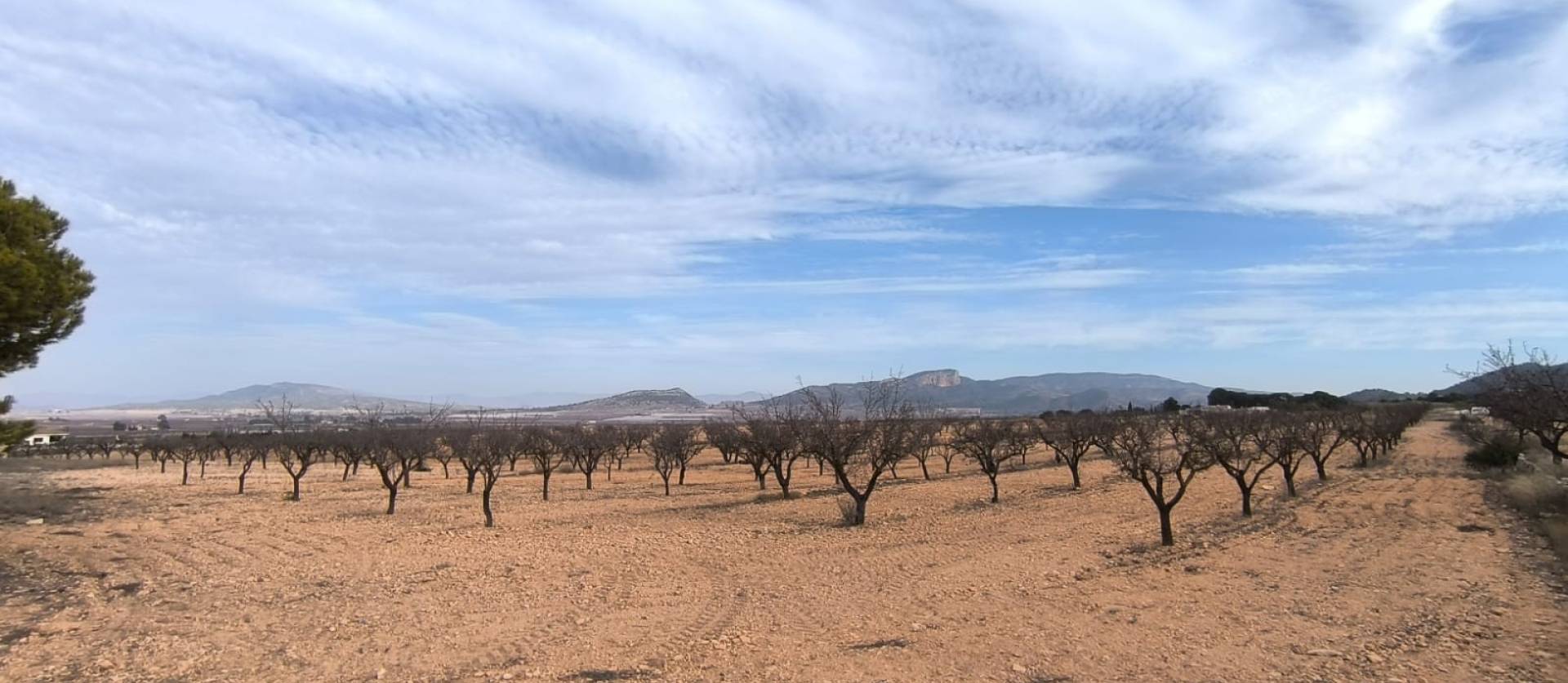 Revente - Villa - Monovar