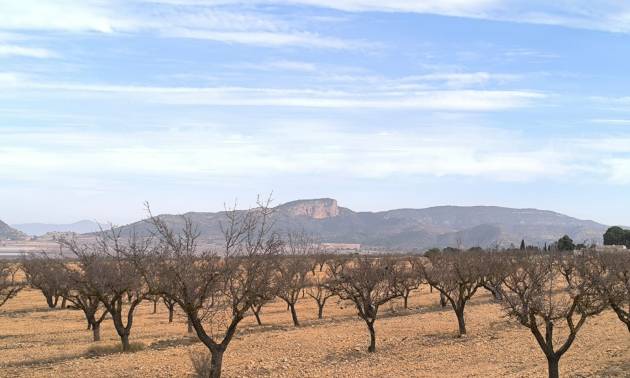 Revente - Villa - Monovar