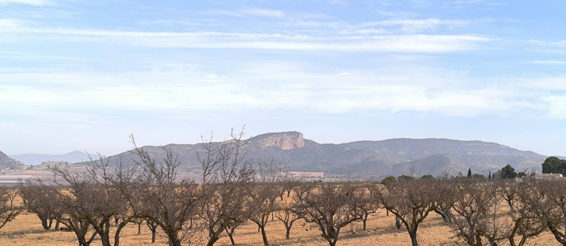 Revente - Villa - Monovar